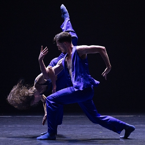 Godani & Foniadakis