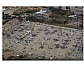 אביר סולטן, יום העצמאות, חצרים 2014 אביר סולטן, יום העצמאות, חצרים 2014